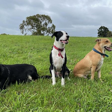 Narrow Neck Creek Farmstay And B&B อัปเปอร์ฮัทท์ ภายนอก รูปภาพ