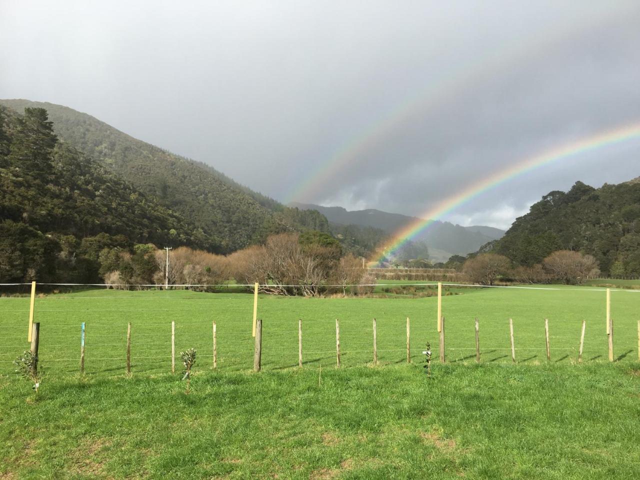 Narrow Neck Creek Farmstay And B&B อัปเปอร์ฮัทท์ ภายนอก รูปภาพ