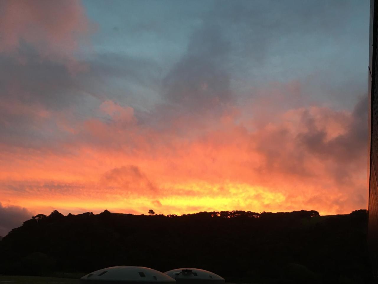 Narrow Neck Creek Farmstay And B&B อัปเปอร์ฮัทท์ ภายนอก รูปภาพ